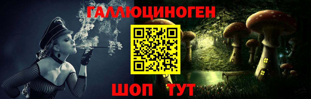 Псилоцибиновые грибы мицелий  Псилоцибиновые грибы мицелий  Георгиевск  Вход с VPN 